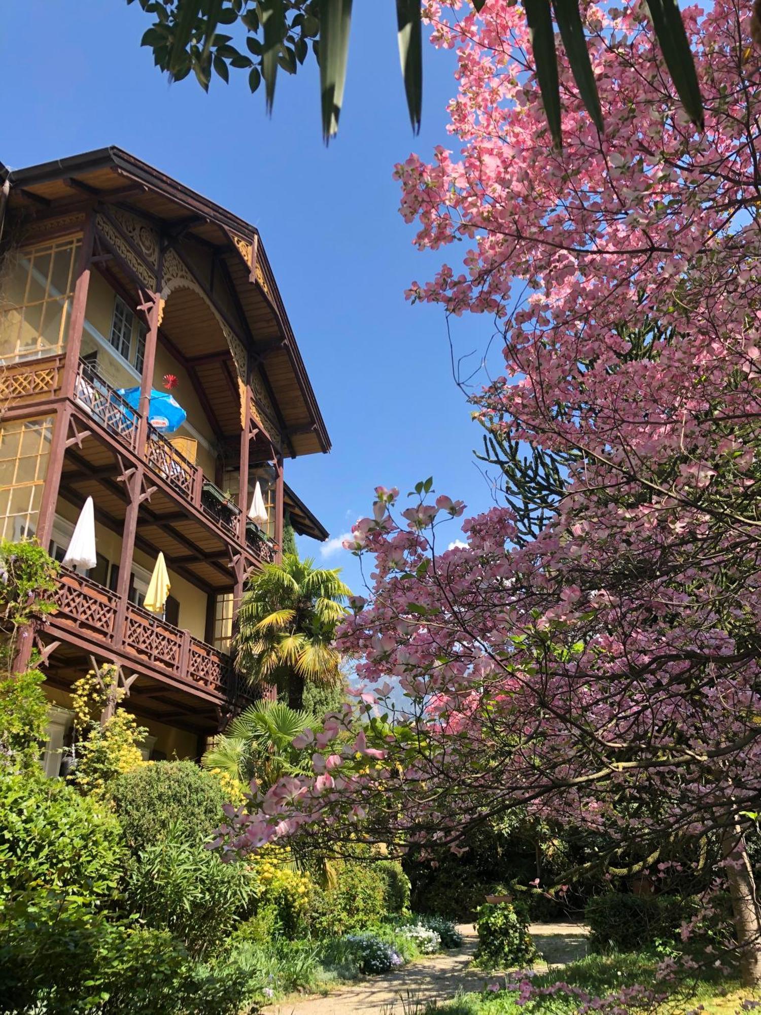 Apartment Schillerhof